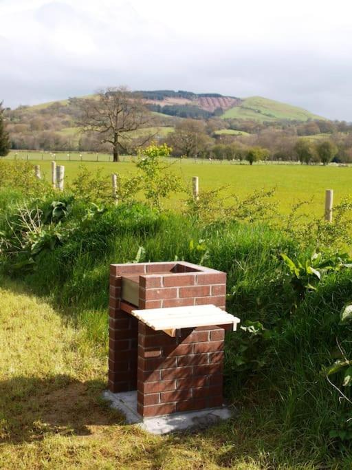 Peregrine Stable Cottage Llandovery Extérieur photo