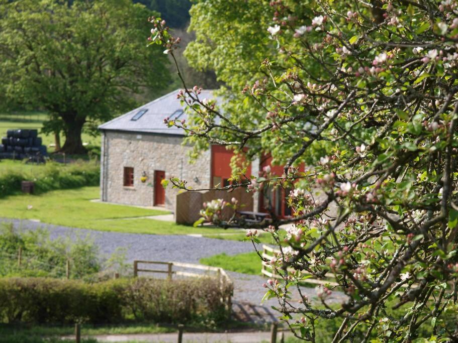 Peregrine Stable Cottage Llandovery Extérieur photo